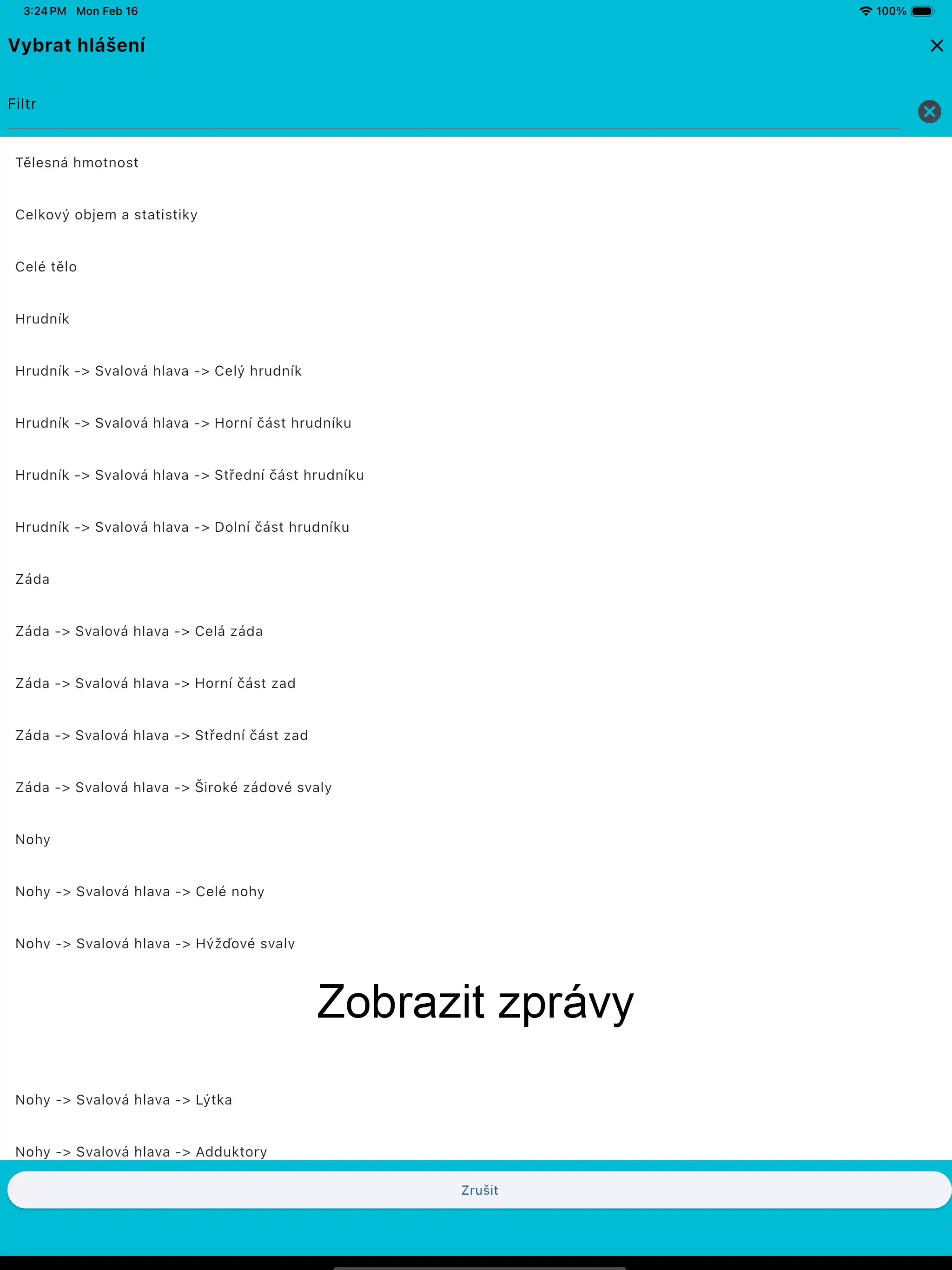 Ipad  Snímek obrazovky