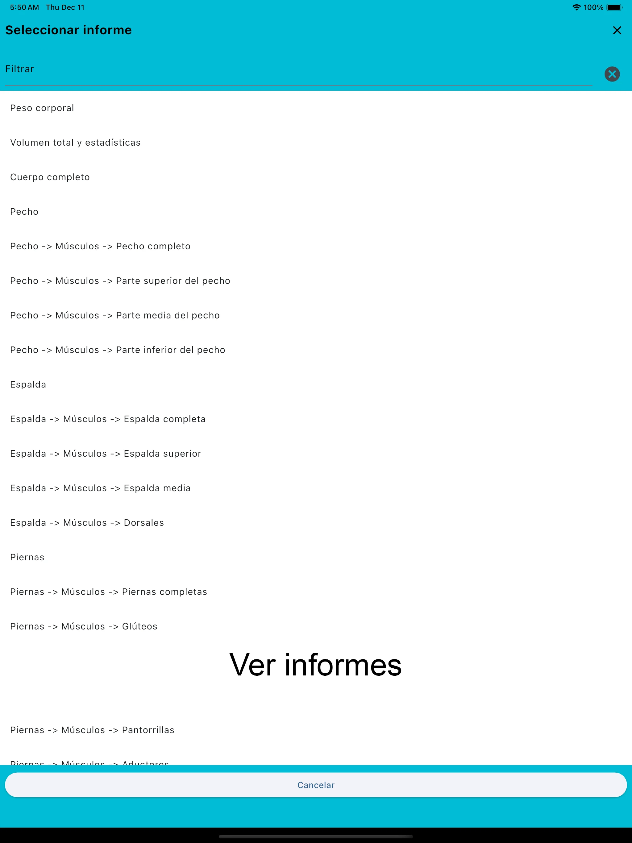 Captura de pantalla del iPad