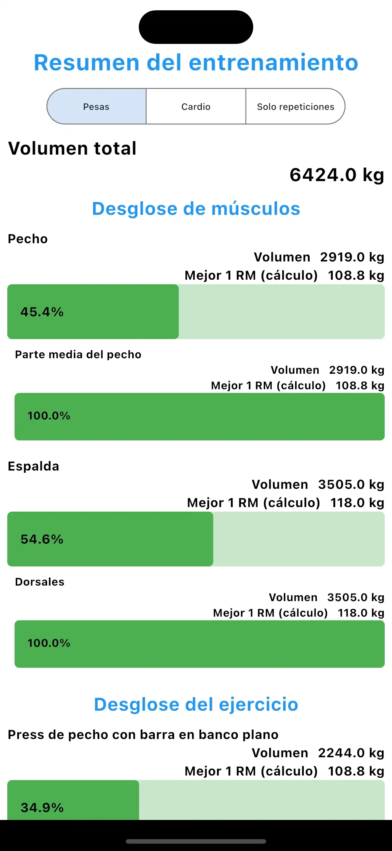 Resumen del entrenamiento