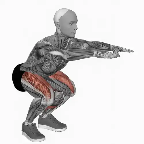 Air Squats