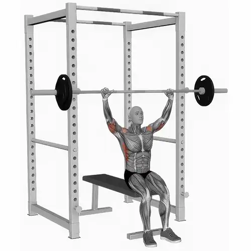 Barbell Military Press