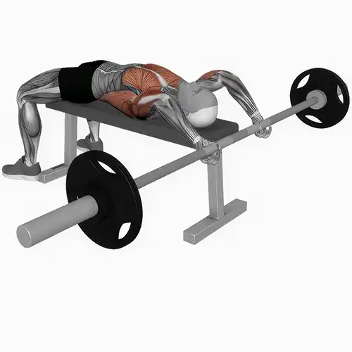 Barbell Pullover