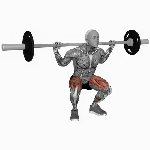 Barbell Squats