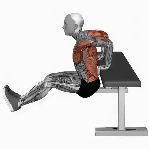 Bench Dips