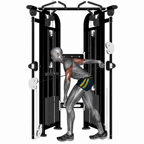 Bent Over Single Arm Rope Tricep Kickbacks