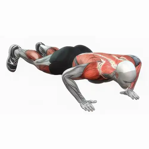 Burpees