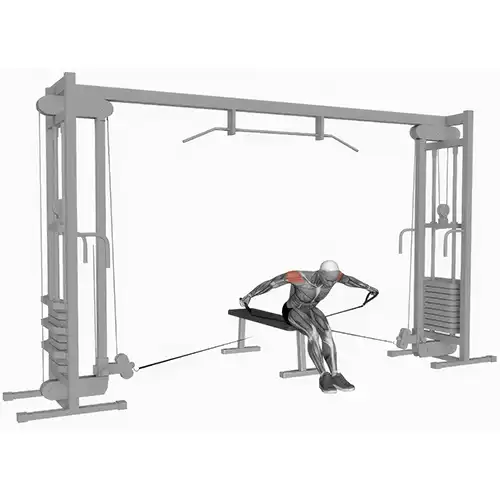 Cable Rear Raises