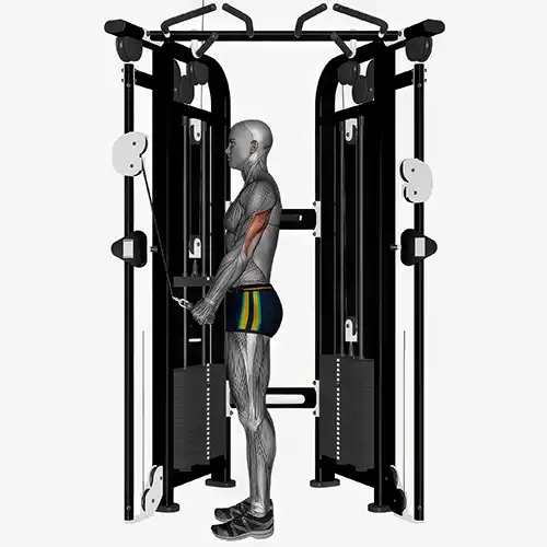 Close Grip Pushdowns