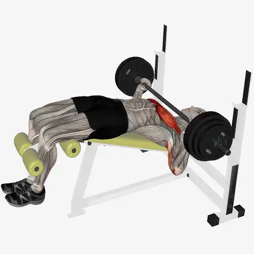 Decline Bench Barbell Chest Press