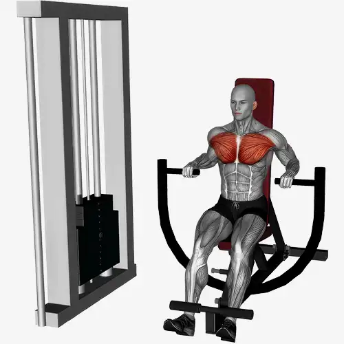 Decline Machine Chest Press