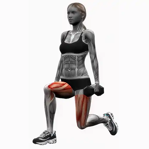 Dumbbell Lunges