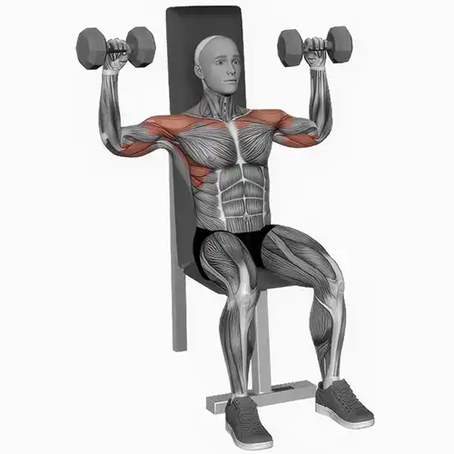 Dumbbell Military Press