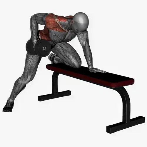 Dumbbell Rows