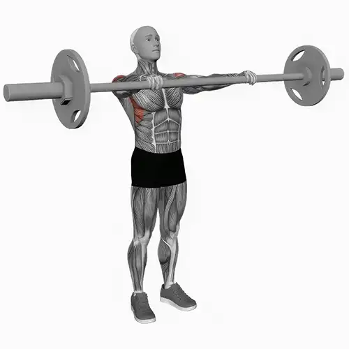 Front Barbell Raises