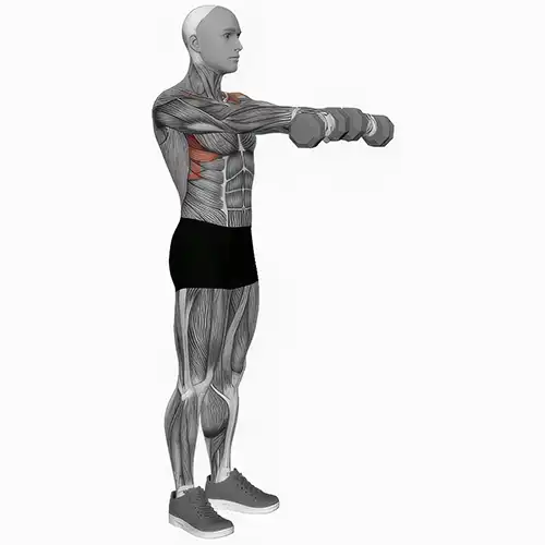 Front Dumbbell Raises