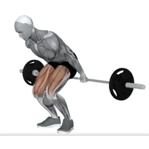Hack Squats