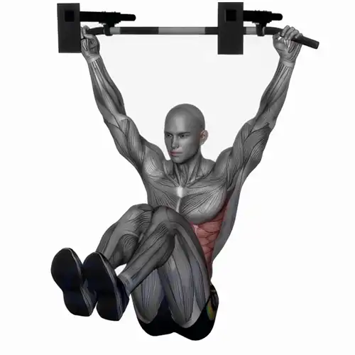 Hanging Knee Raises