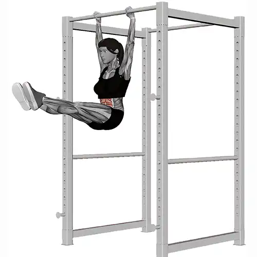 Hanging Leg Raises