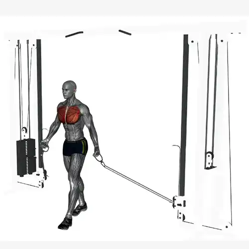 High Cable Chest Flys