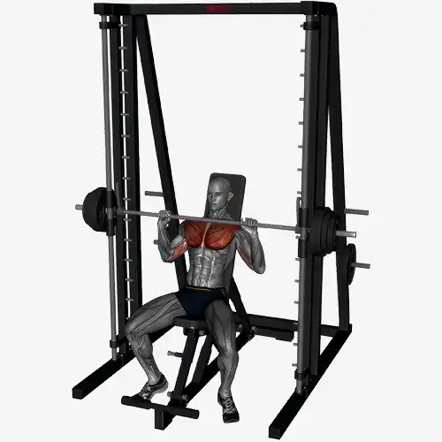 Incline Bench Smith Machine Chest Press