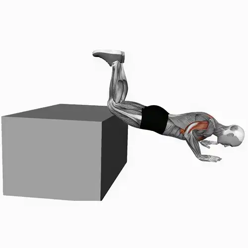 Knee Push Ups