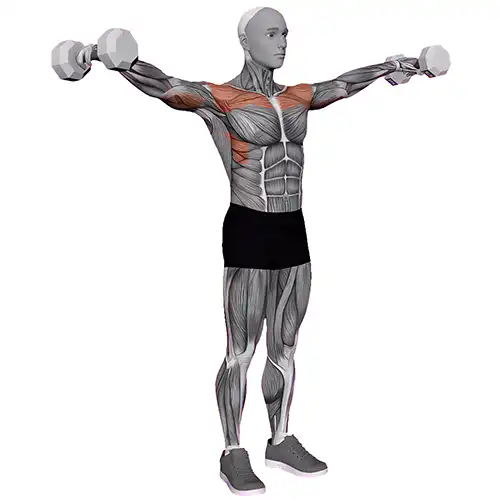 Lateral Dumbbell Raises