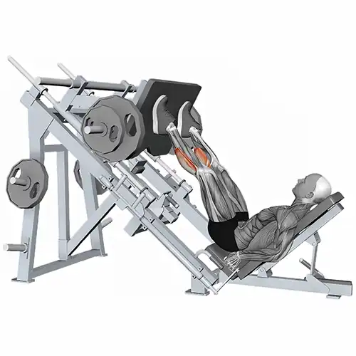 Leg Press Machine Calf Raises