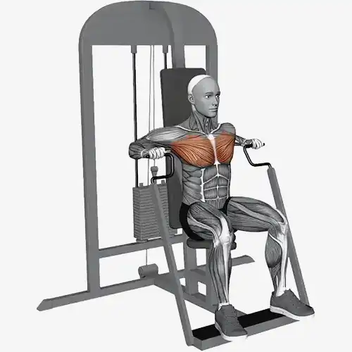 Machine Chest Press