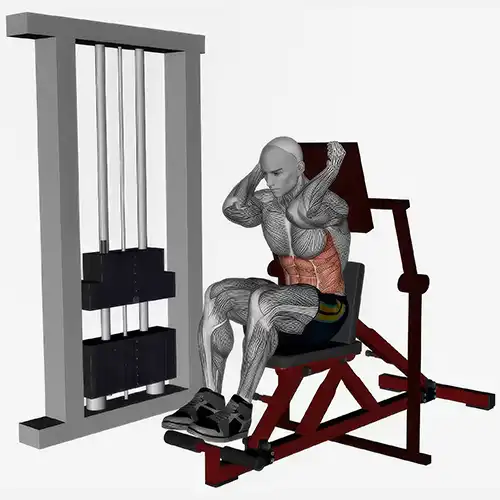 Machine Crunches