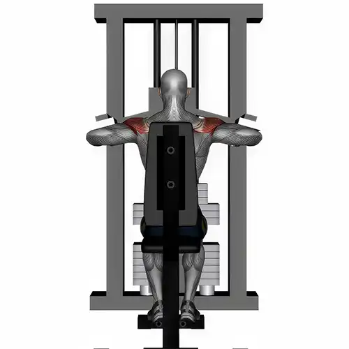 Machine Shoulder Raises