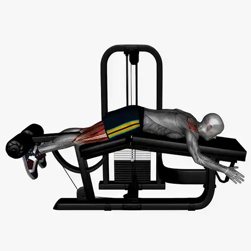 Pin Machine Hamstring Curls