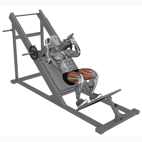 Plate Machine Hack Squats