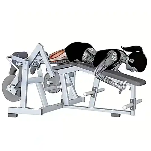 Plate Machine Hamstring Curls