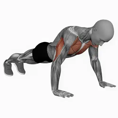 Push Ups