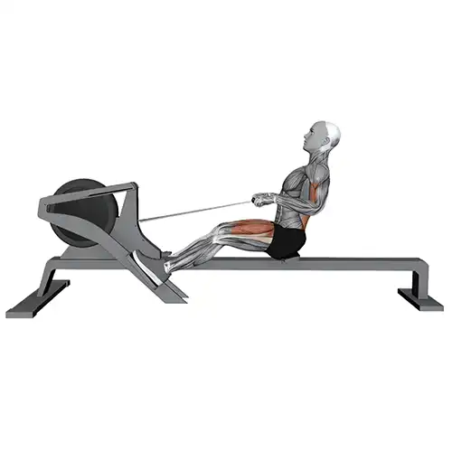 Rowing Machine