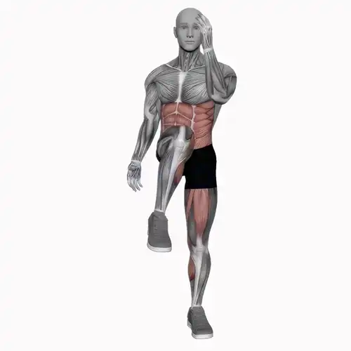 Standing Knee To Elbows