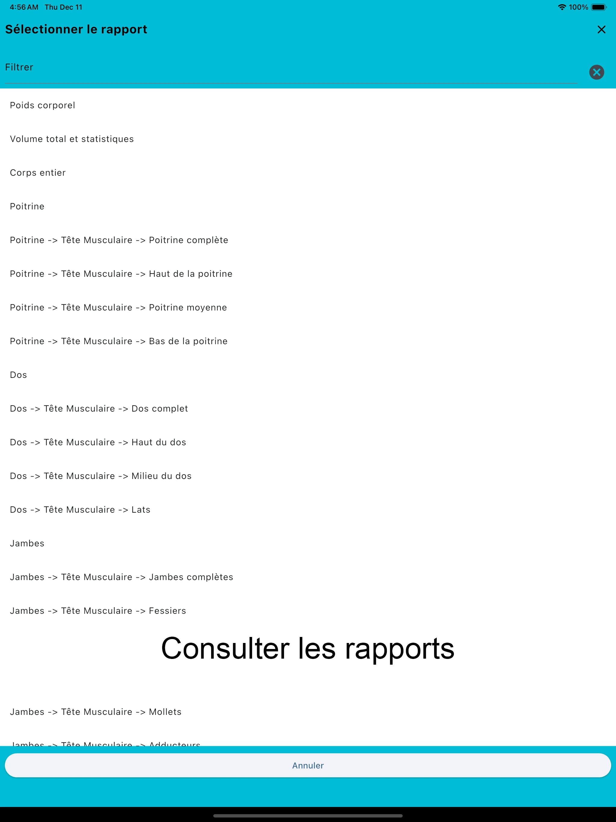 Capture d'écran iPad