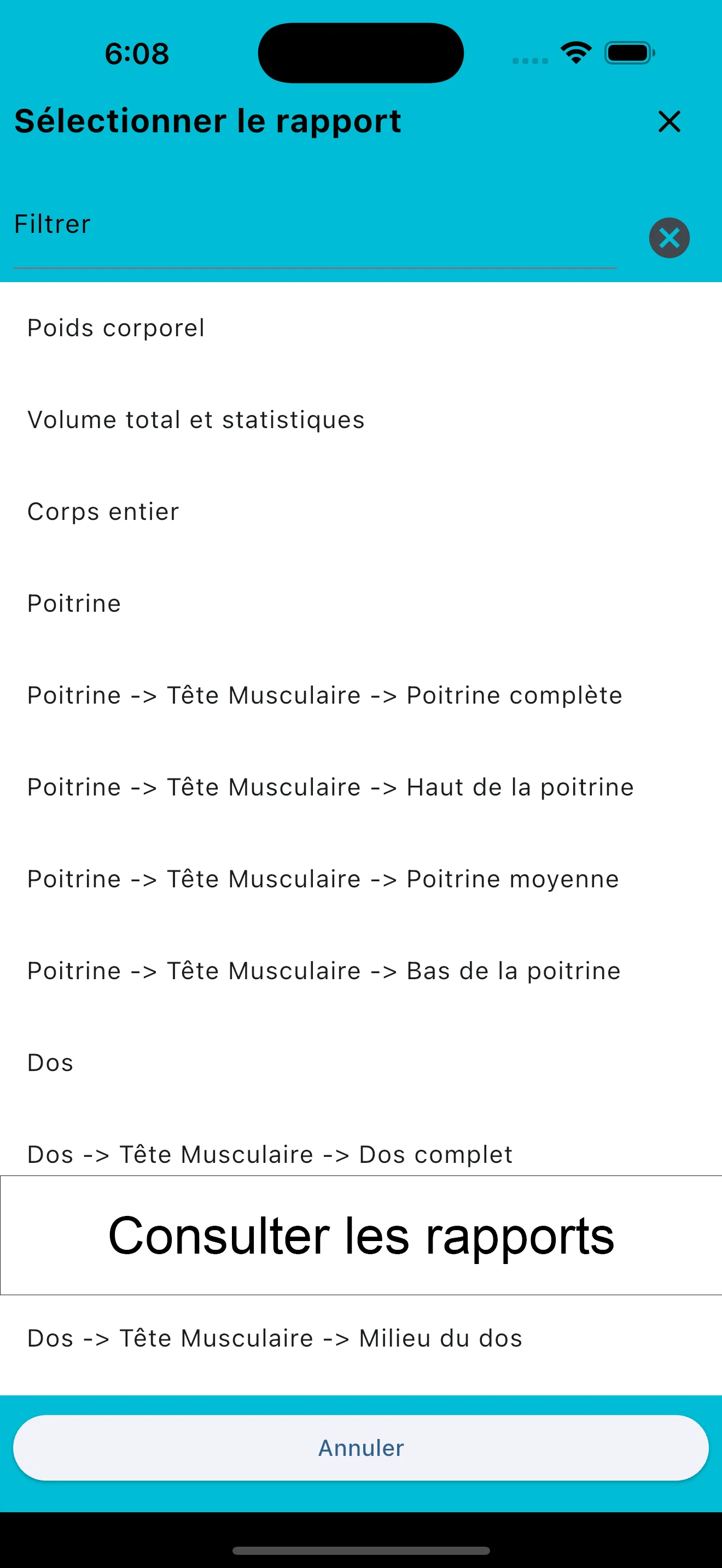 Capture d'écran iPhone