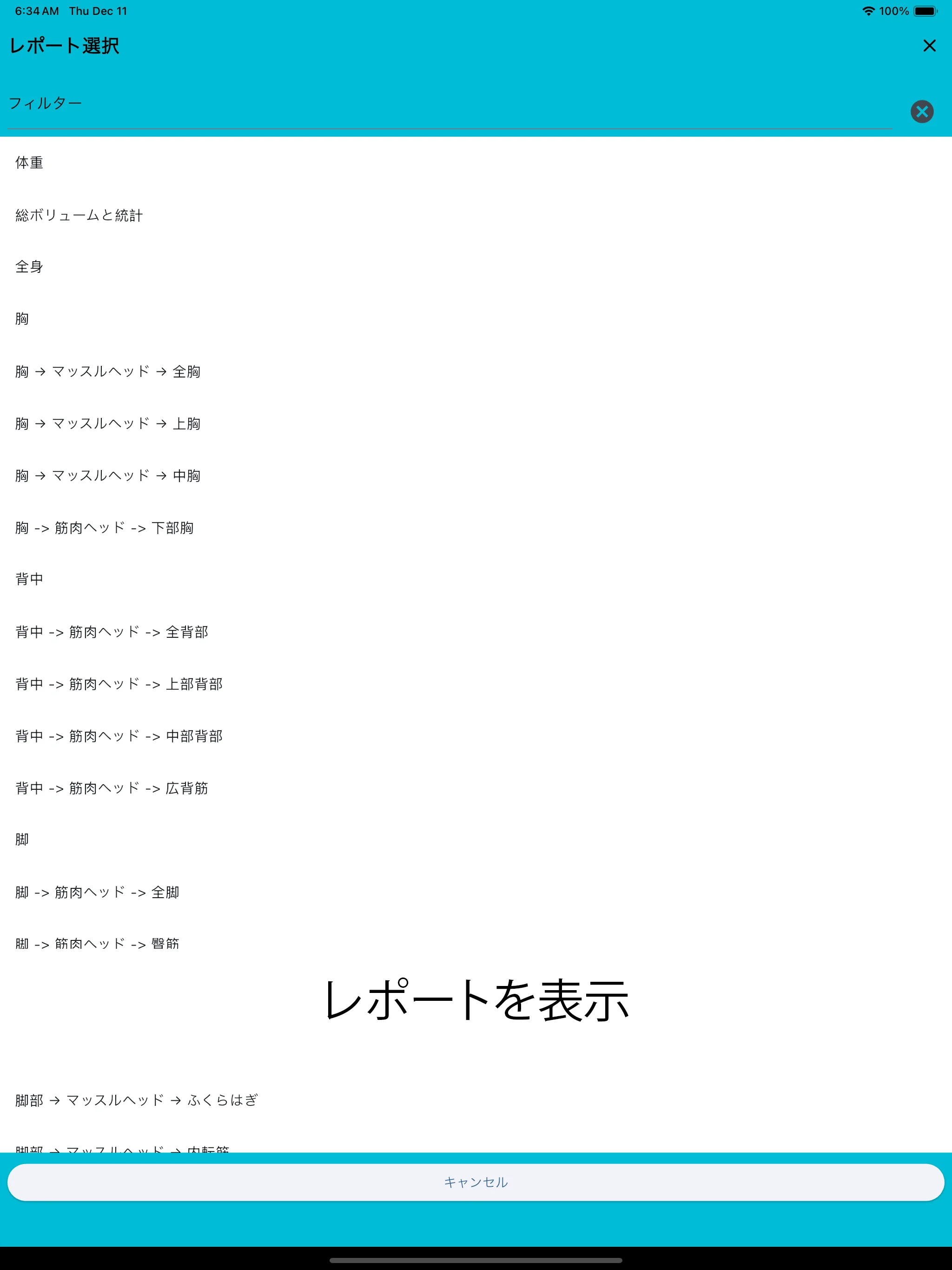 iPadのスクリーンショット