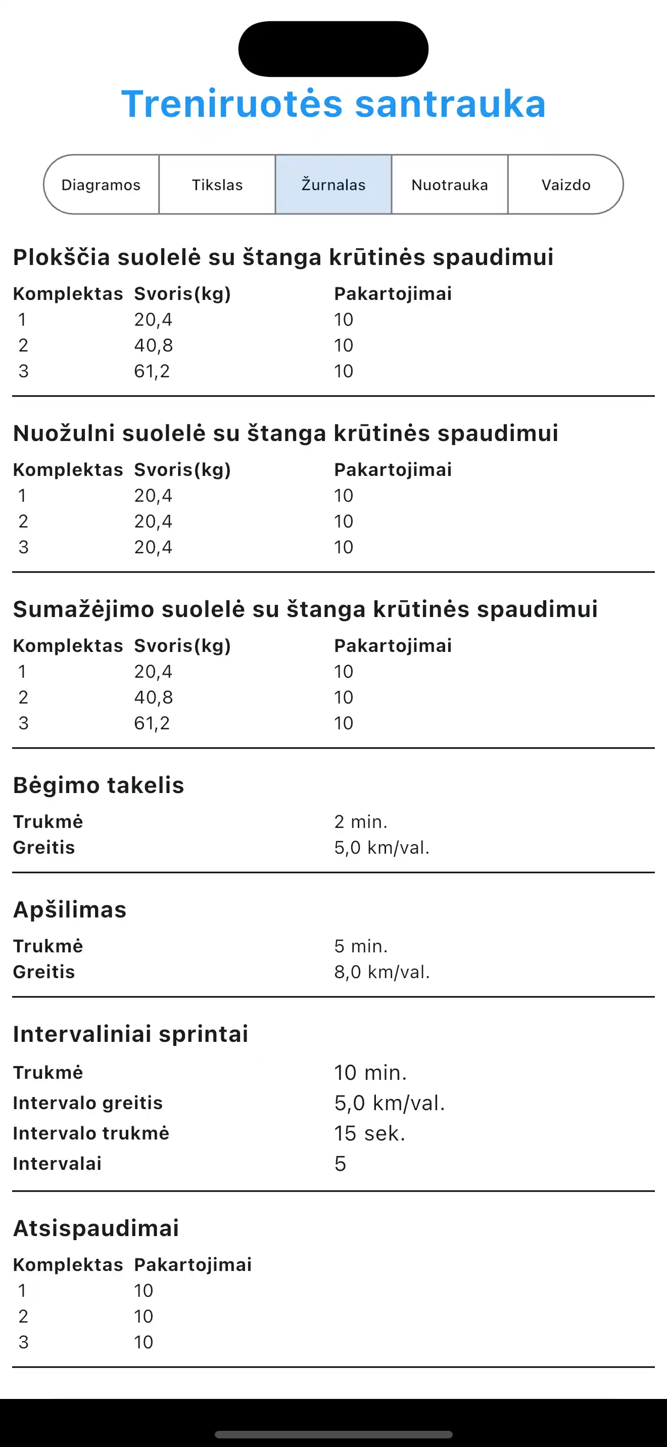 Pavyzdinis treniruočių žurnalas