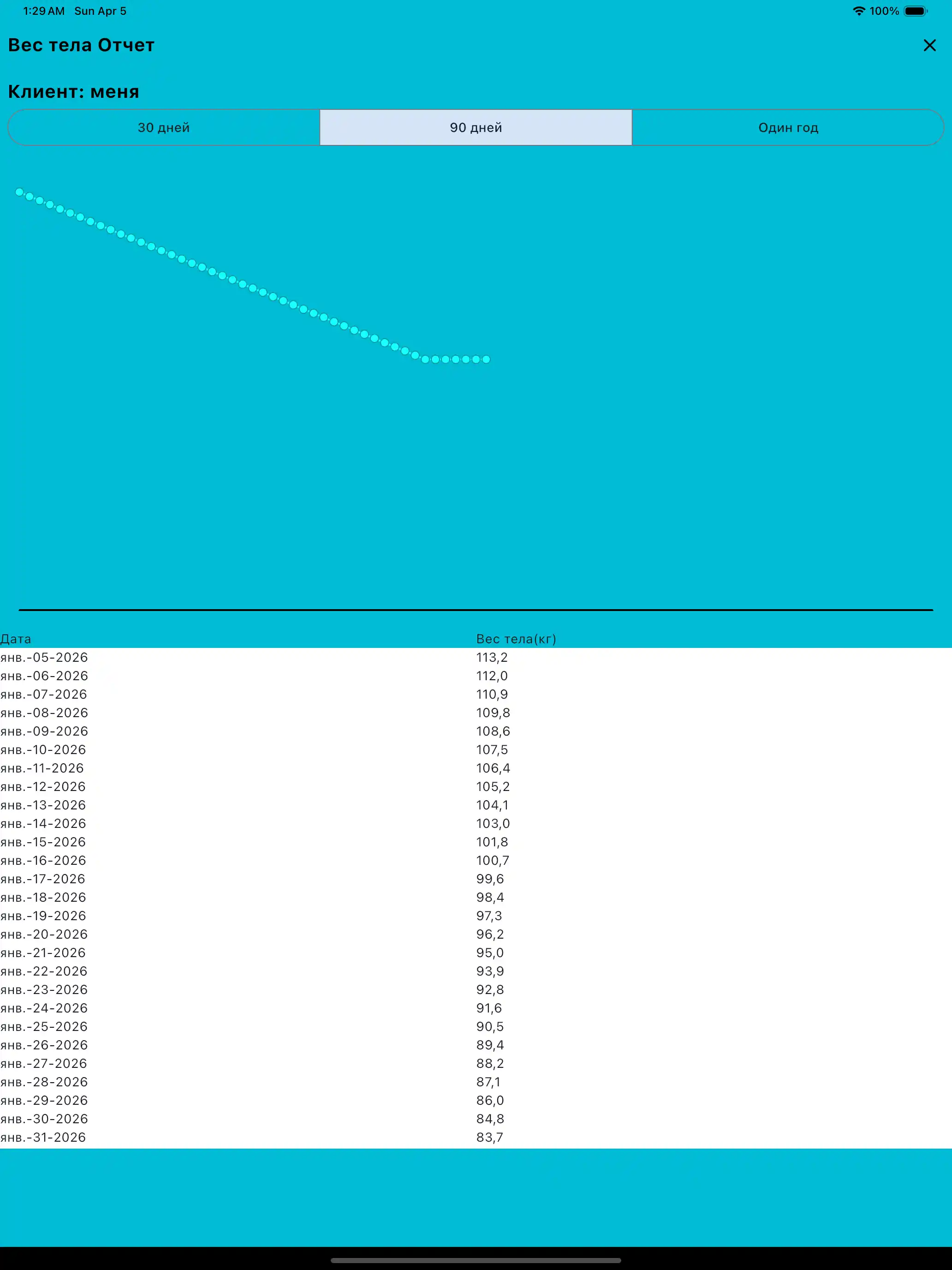 Отчет по весу на планшете